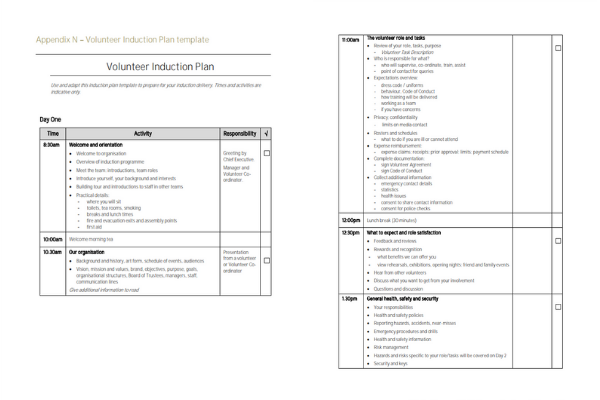 Snippet of first section of Volunteer Induction Plan template 