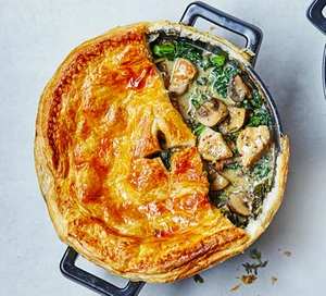 chicken kale mushroom pot pie 1b0817a